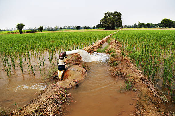 Innovations in Smart Irrigation: How IoT and Predictive Analytics are Shaping the Future