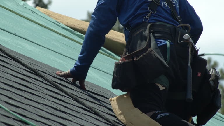 Expert Roof Replacement in Kansas City for Long-Lasting Protection